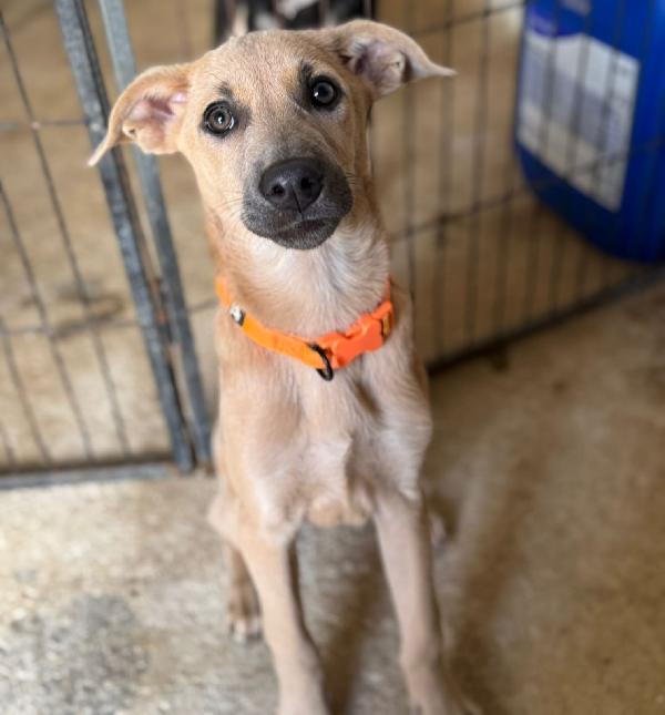 Alex, Paolo & Trilly